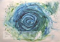 blaue Rose IV